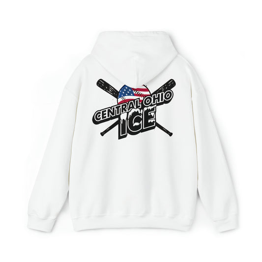 Central Ohio Ice Flag Back & Visual Vibe Designs logo Unisex Heavy Blend™ Hooded Sweatshirt